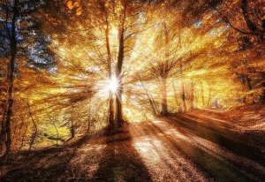 FB_IMG_1424703886816